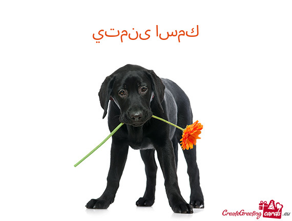 يتمنى اسمك